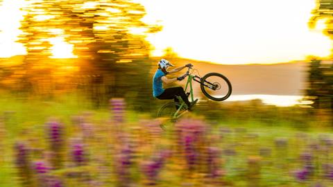 A mountain biker popping a wheely at Snow Summit during sunset